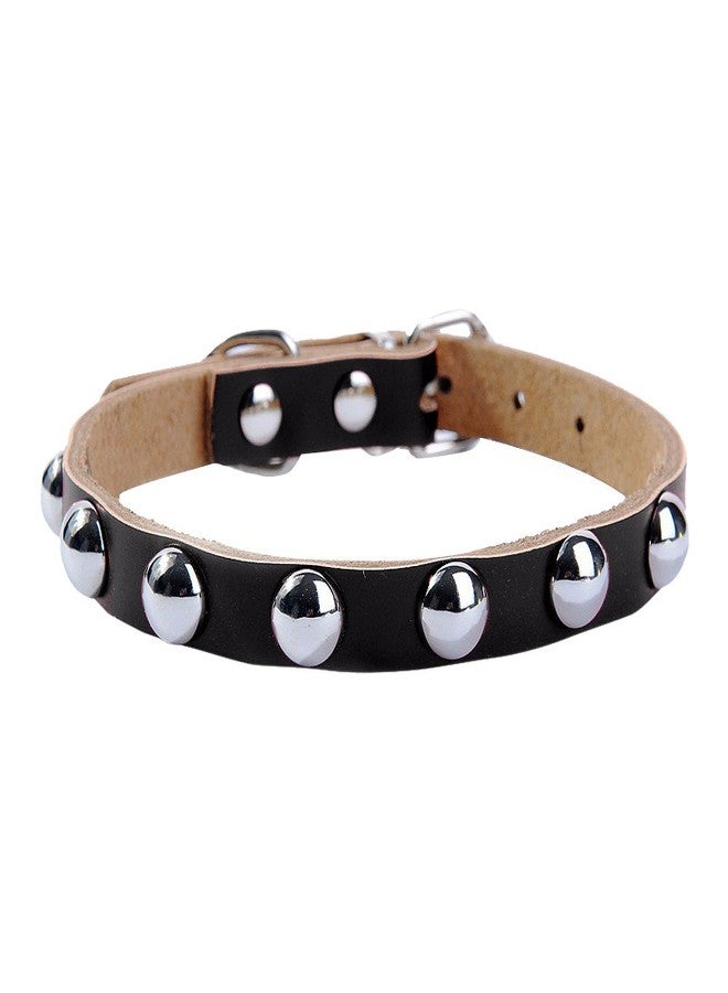 Nema NM Nema Adjustable Rivet Studded Leather Dog Collar - Black - S - Image 2